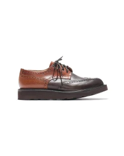 Brogue - Brown Multi Tone Morflex