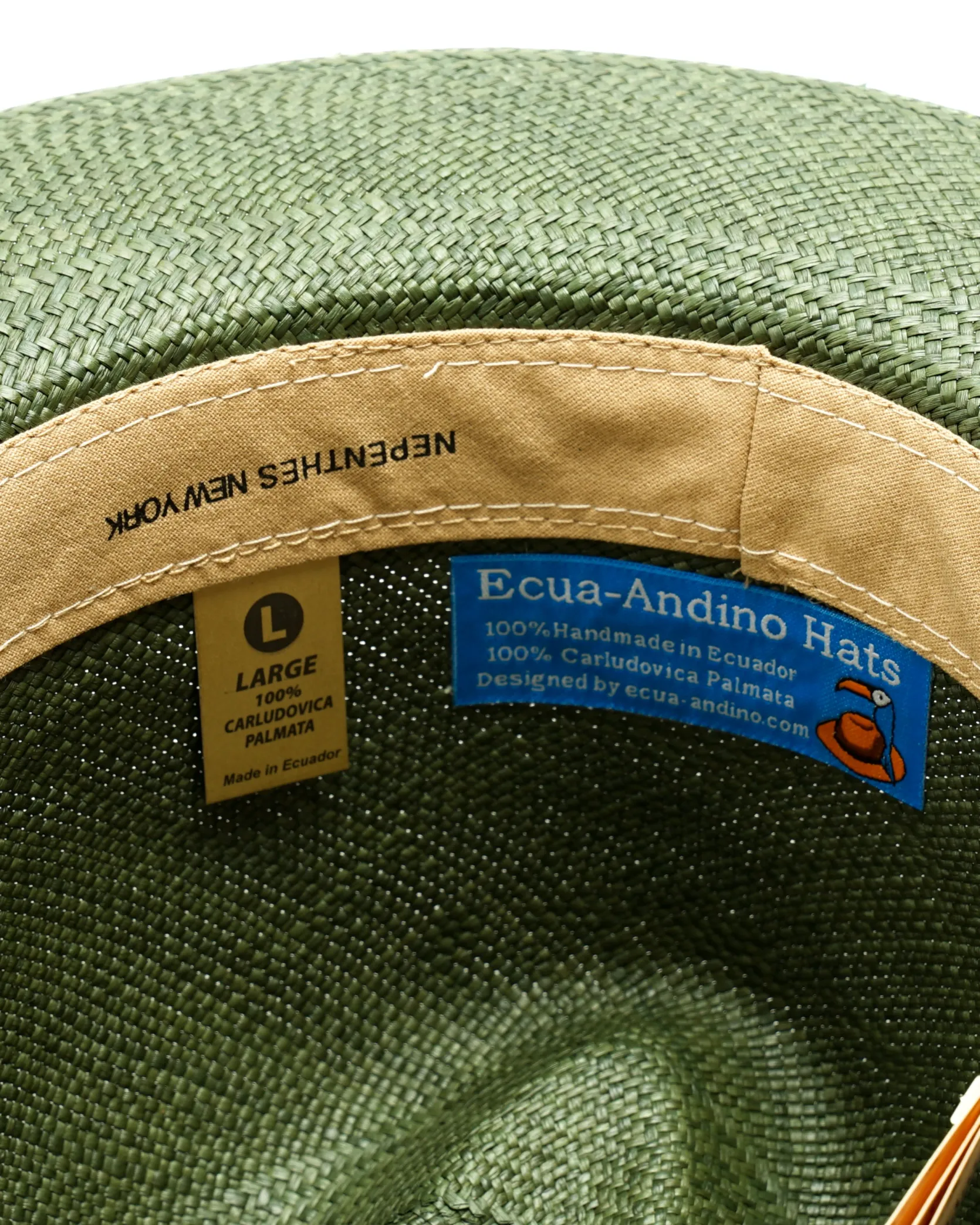 Classic Panama Hat - Green
